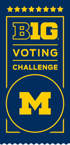 B1G Voting Challenges